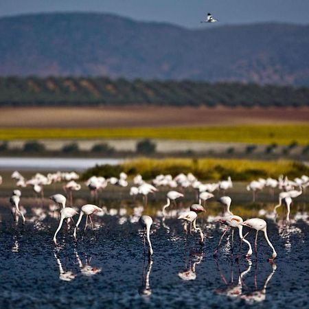 Cortijo La Torquilla Laguna Fuente De Piedra Малага Экстерьер фото